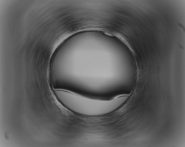 X0000103231101200809111524