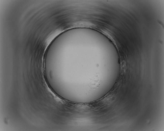 X0000103231103200809111524