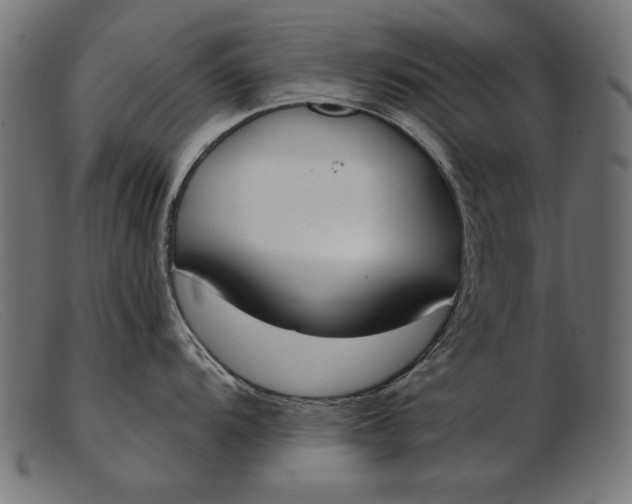 X0000103231104200809111524