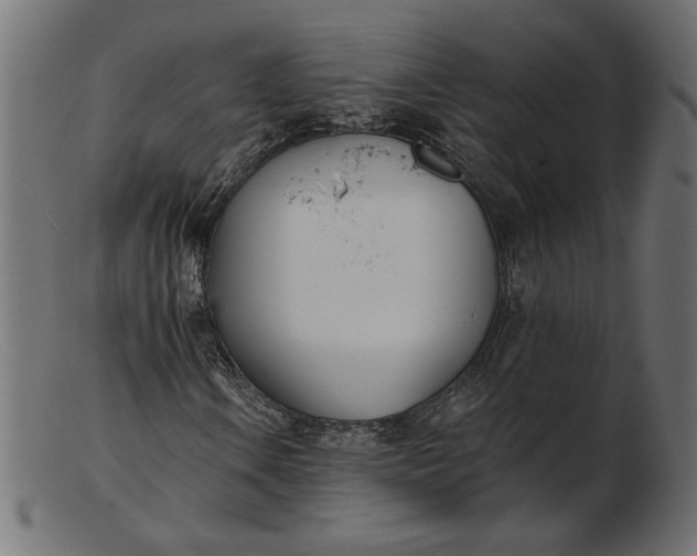 X0000103231106200809111524