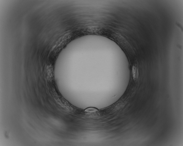 X0000103231107200809111524