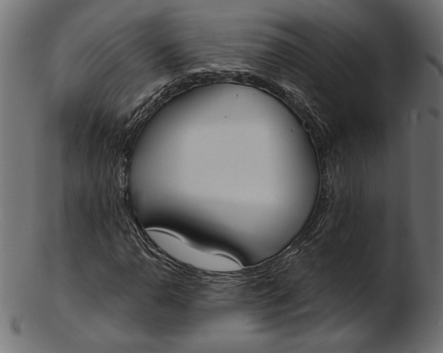 X0000103231110200809111524
