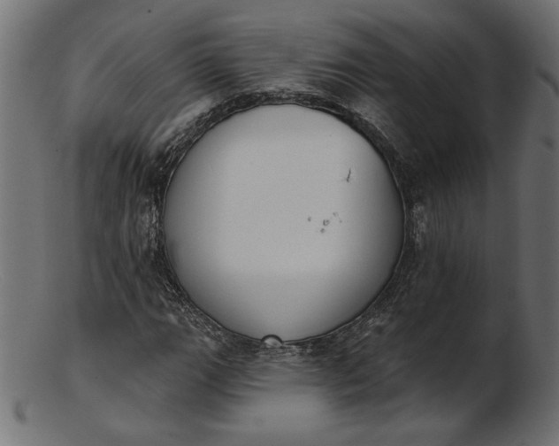X0000103231111200809111524