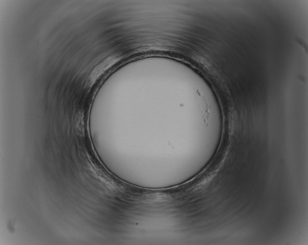 X0000103231113200809111524
