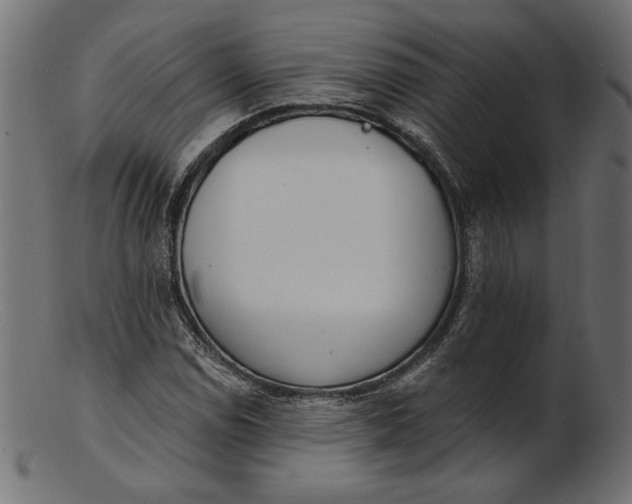 X0000103231114200809111524