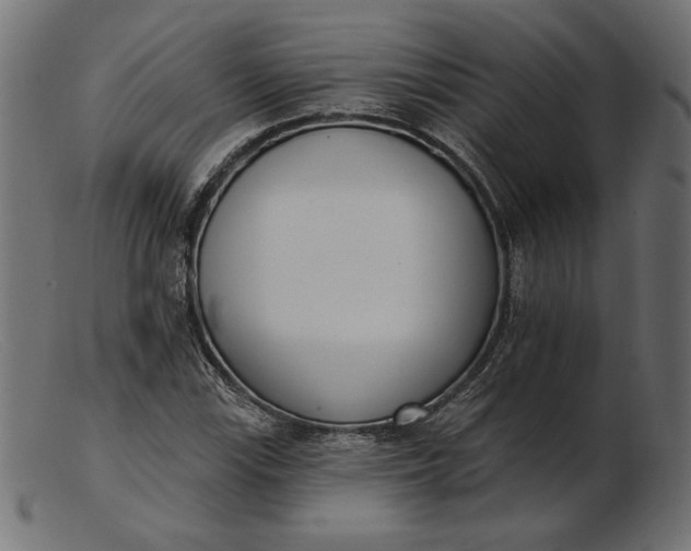 X0000103231115200809111524