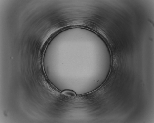 X0000103231116200809111524