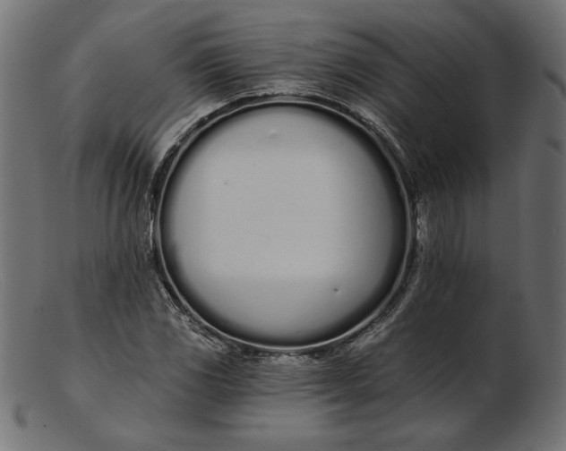 X0000103231117200809111524