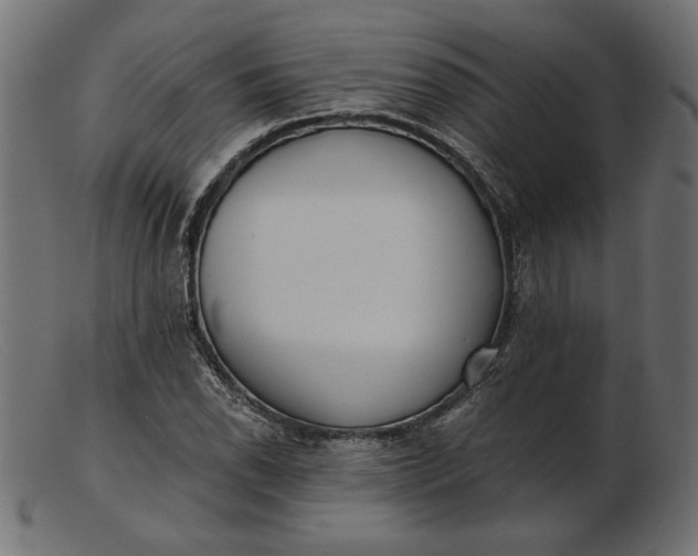 X0000103231118200809111524