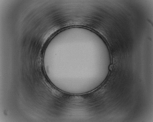 X0000103231119200809111524