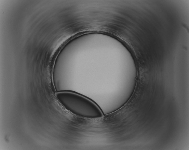 X0000103231120200809111524