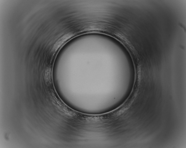 X0000103231121200809111524