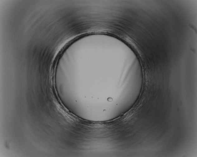X0000103231124200809111524