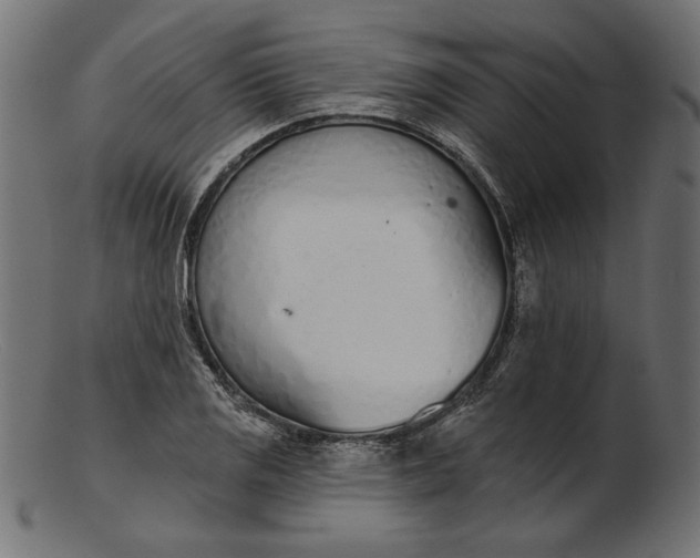 X0000103231125200809111524