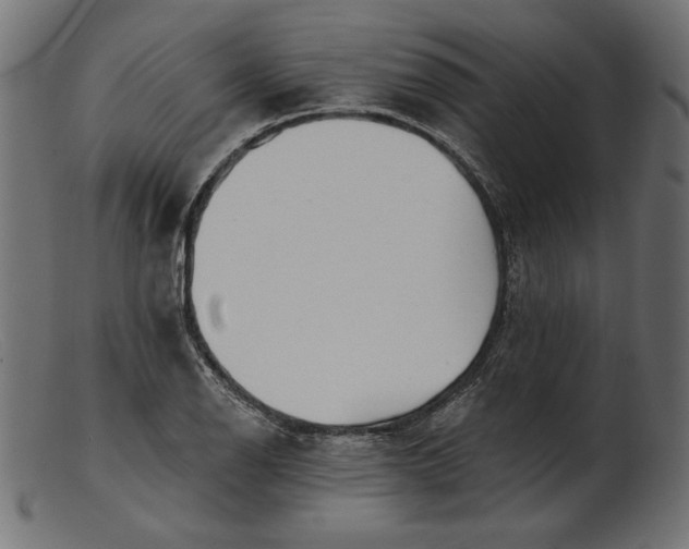 X0000103231126200809111524