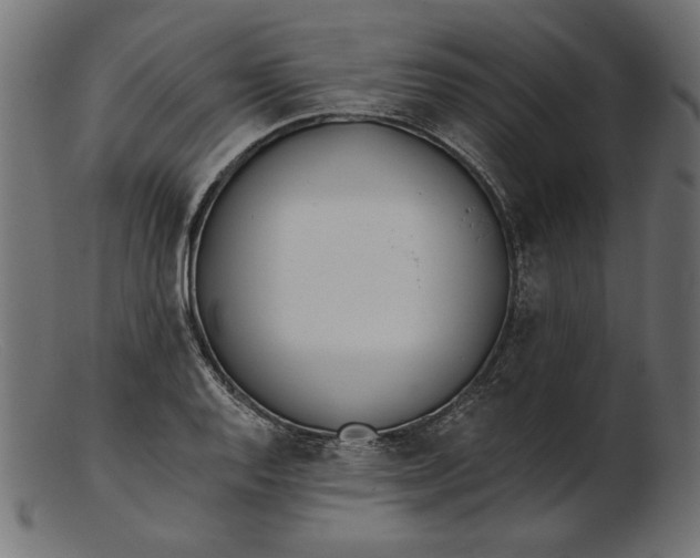 X0000103231128200809111524