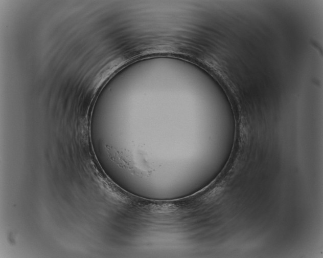 X0000103231129200809111524