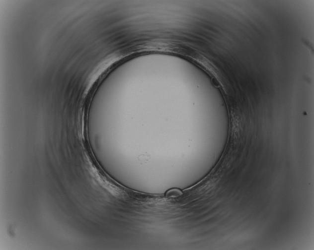 X0000103231131200809111524