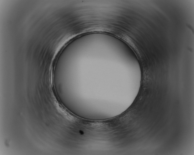 X0000103231132200809111524