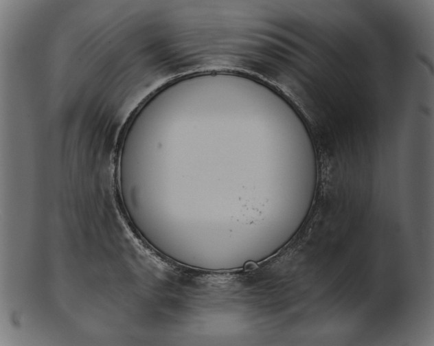 X0000103231134200809111524