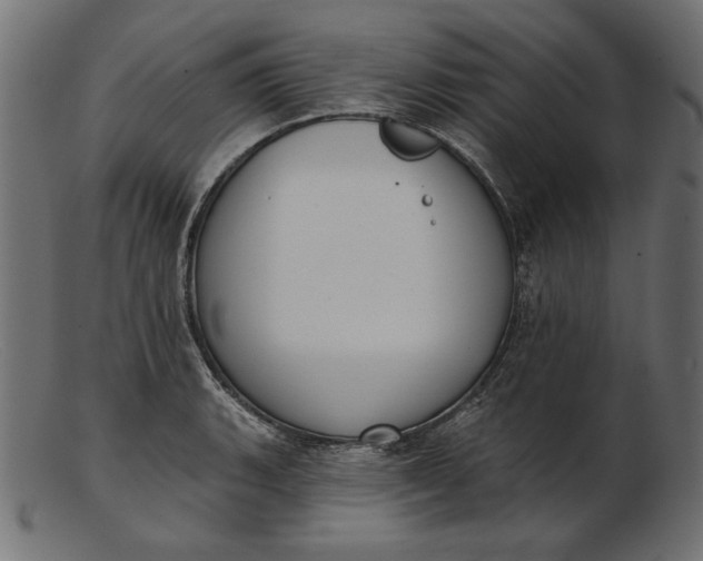 X0000103231135200809111524