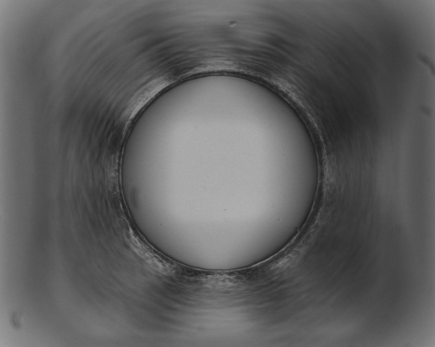 X0000103231137200809111524