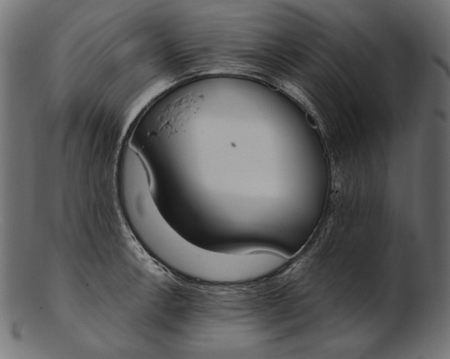 X0000103231138200809111524