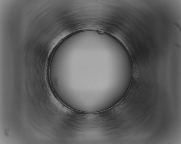 X0000103231139200809111524
