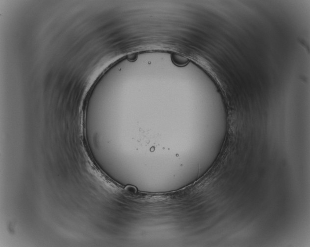 X0000103231140200809111524