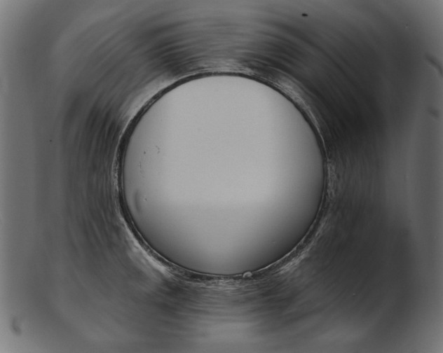 X0000103231141200809111524