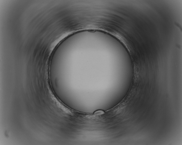 X0000103231142200809111524