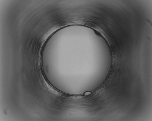 X0000103231143200809111524