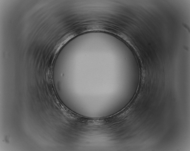 X0000103231145200809111524