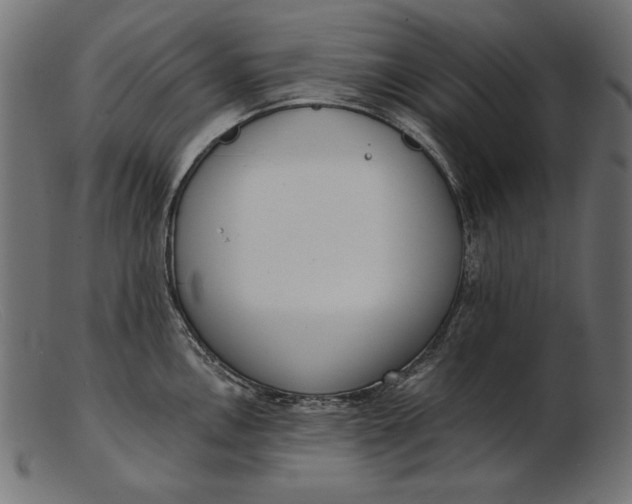 X0000103231146200809111524
