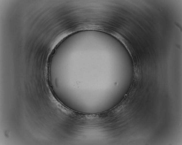 X0000103231147200809111524