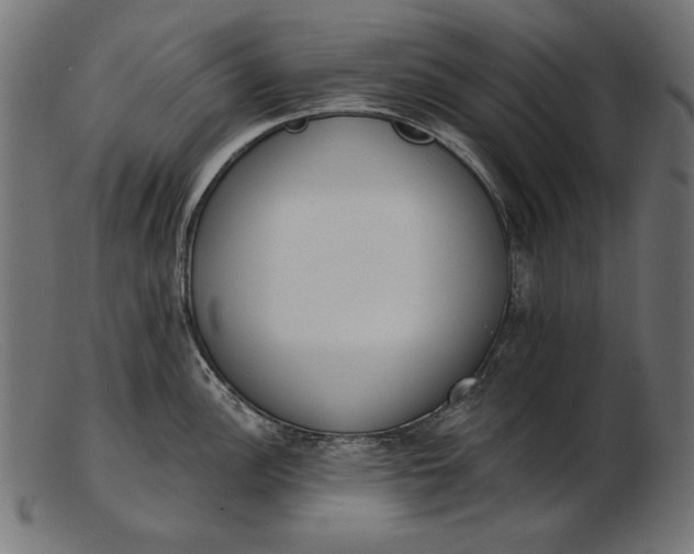 X0000103231148200809111524