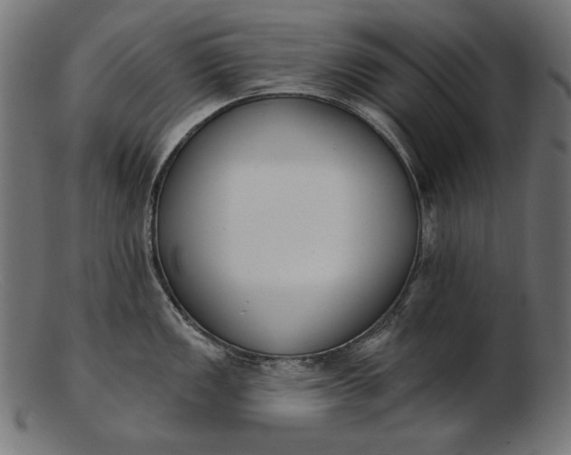 X0000103231149200809111524