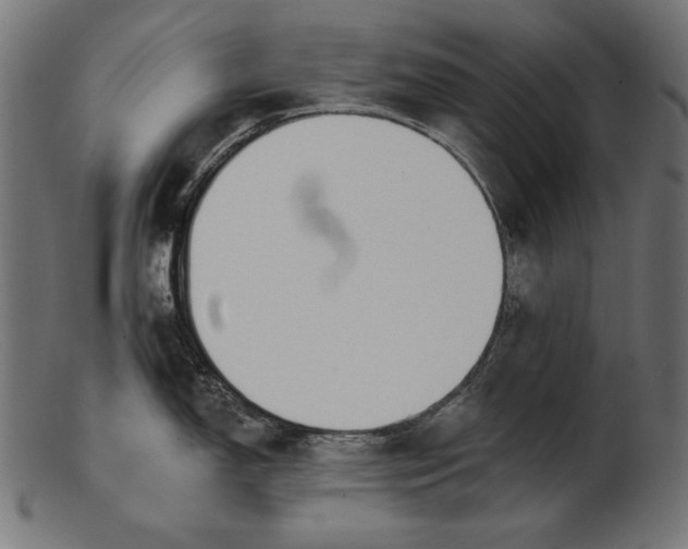 X0000103231150200809111524