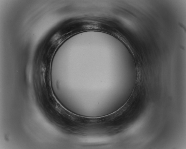 X0000103231151200809111524