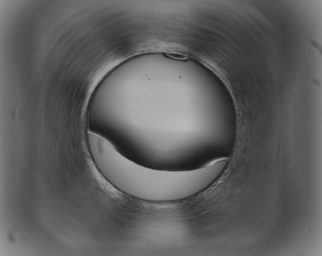 X0000103231152200809111524