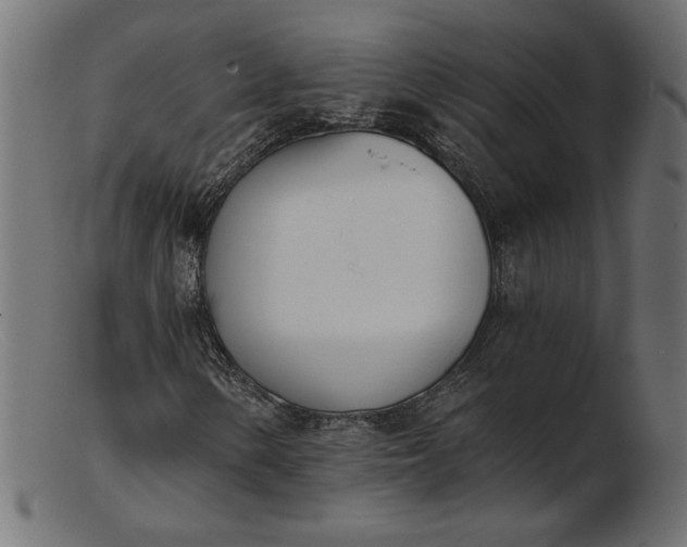 X0000103231154200809111524