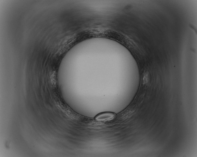 X0000103231156200809111524