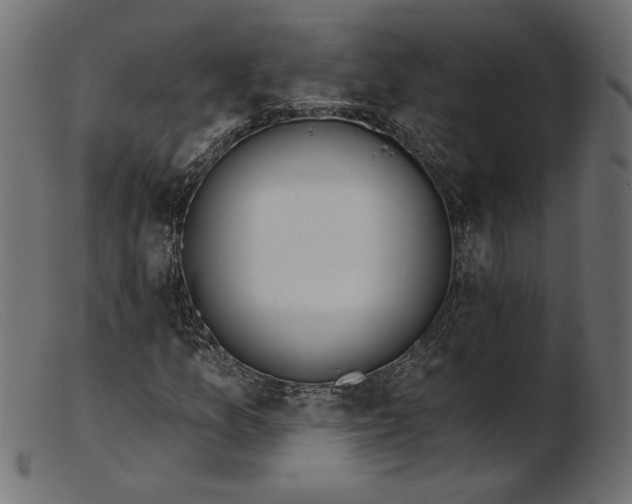 X0000103231157200809111524