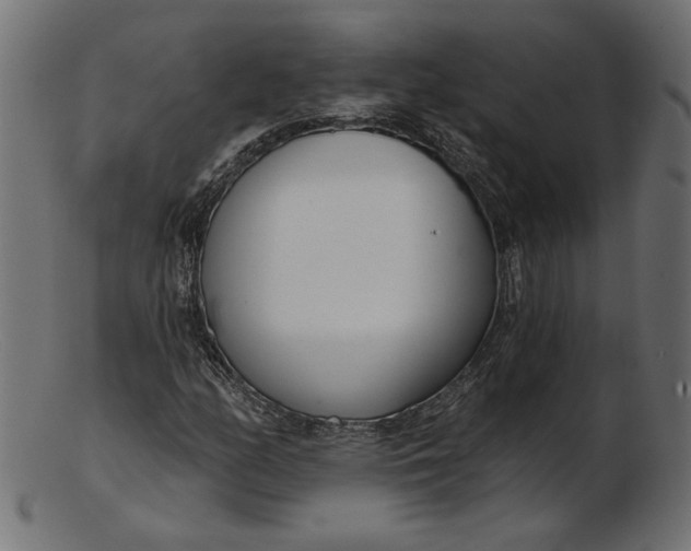 X0000103231158200809111524