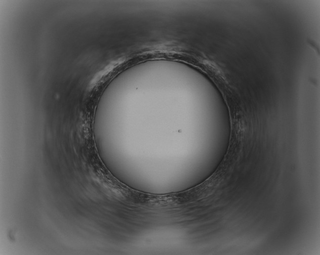 X0000103231159200809111524