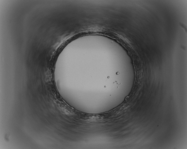 X0000103231160200809111524