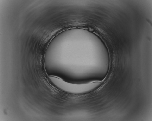 X0000103231161200809111524