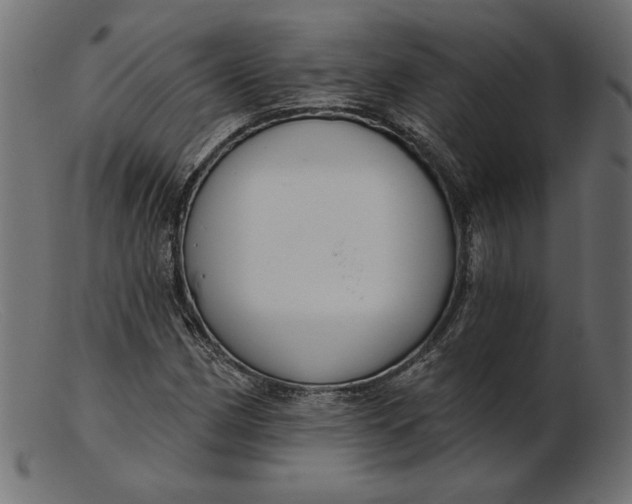 X0000103231162200809111523