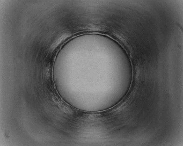 X0000103231163200809111523