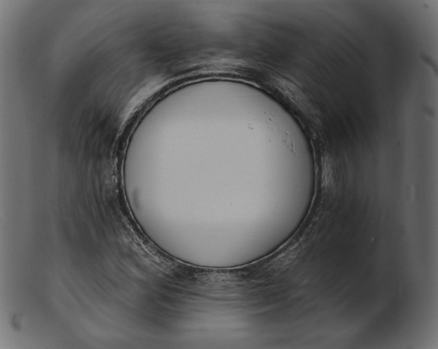 X0000103231164200809111523